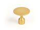 Bouton Floid zamak